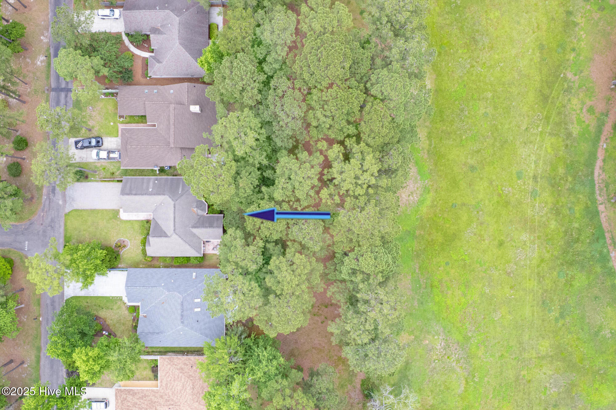 100512828 | Photo 33