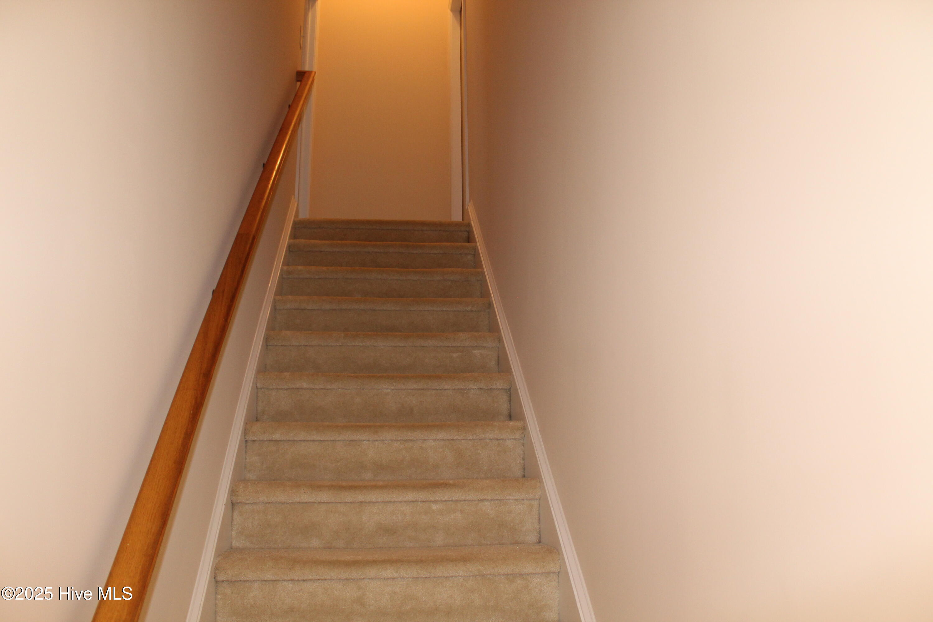 100540386 | Photo 12