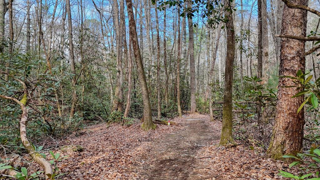 520 Farmer Drive, Murphy, NC 28906 Listing Photo  130
