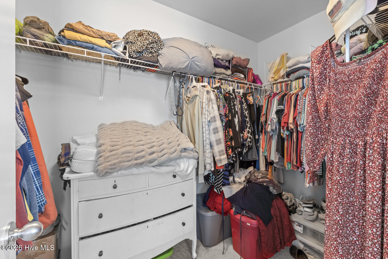 100566319 | Photo 24