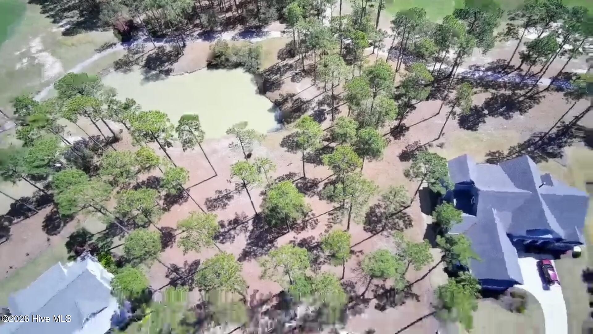 100564114 | Photo 12