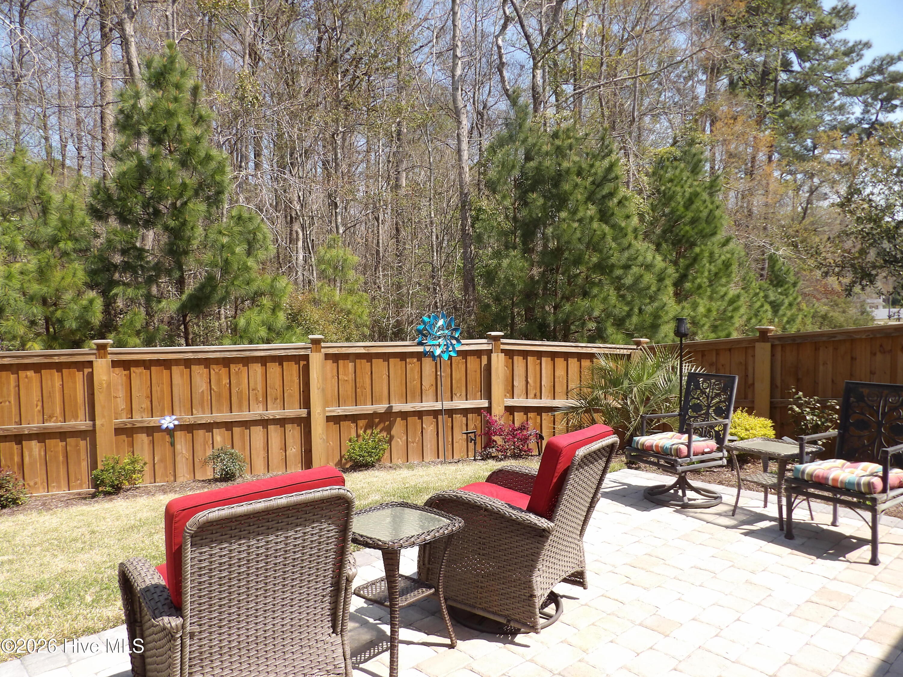 100561891 | Photo 58