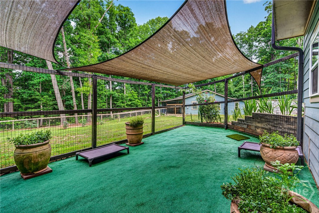 outdoor area for furbabies