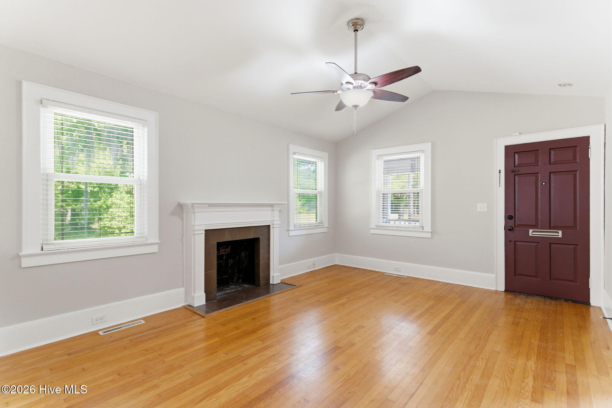 100569211 | Photo 11