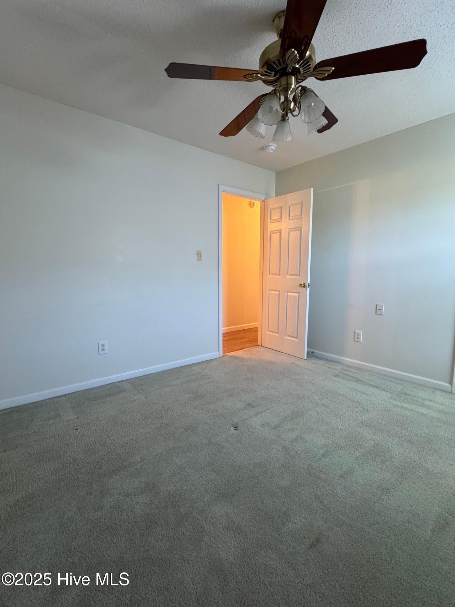 100539298 | Photo 21