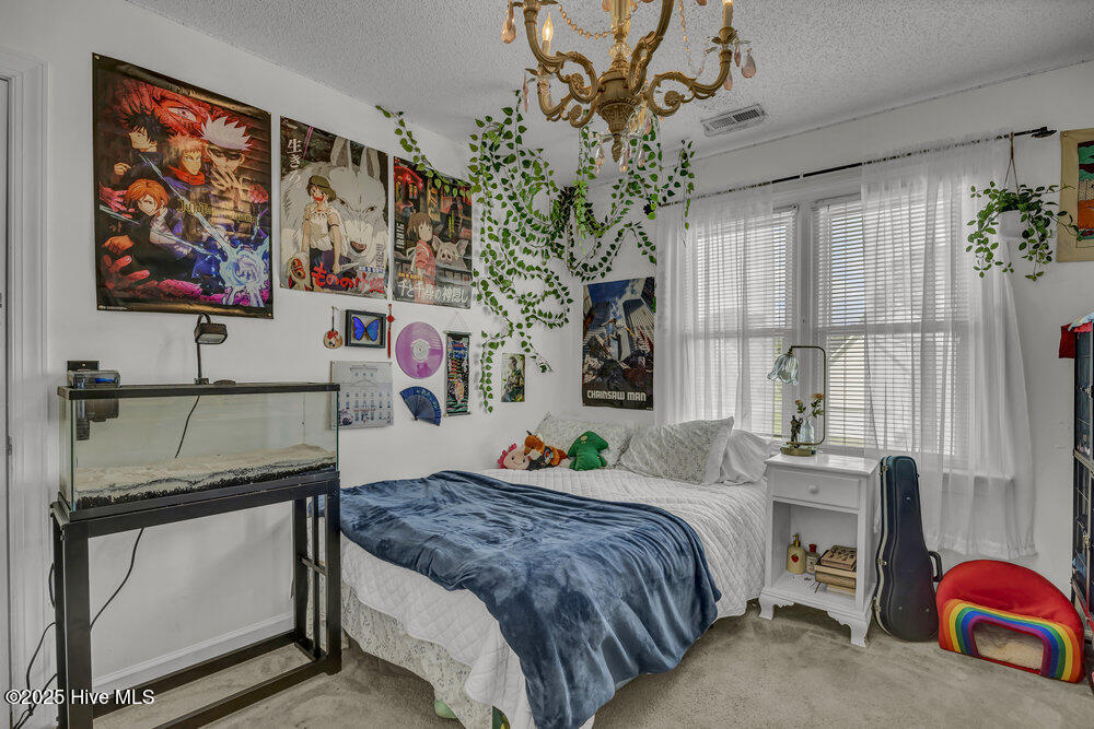 100537017 | Photo 22