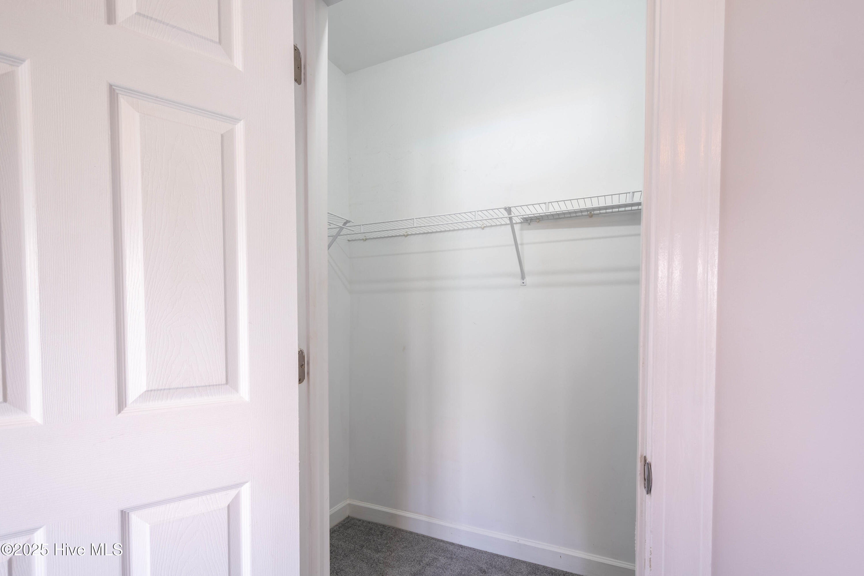 100515883 | Photo 28