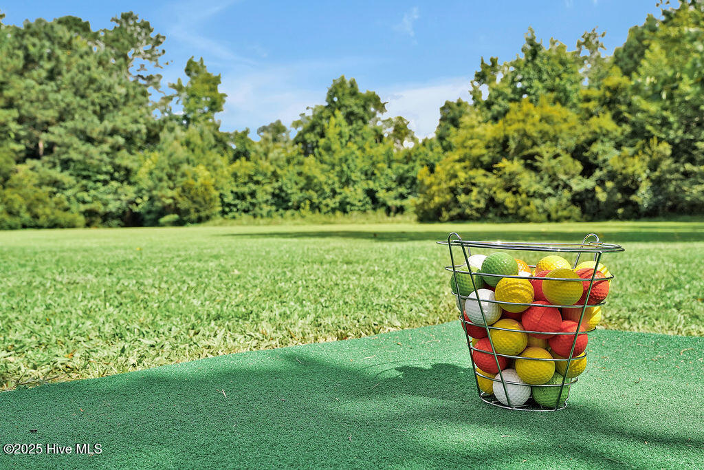 100521494 | Photo 18