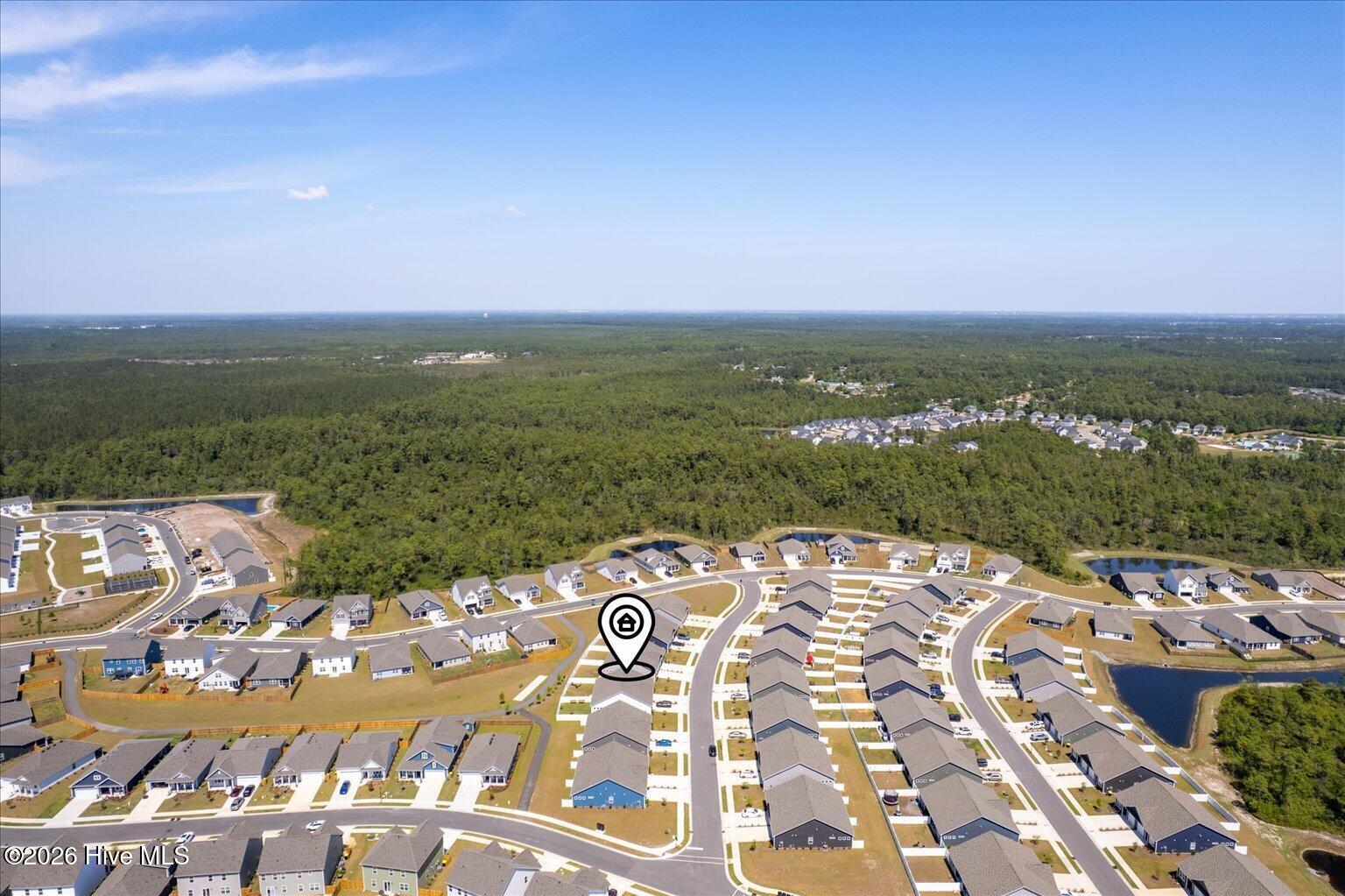 100568001 | Photo 48