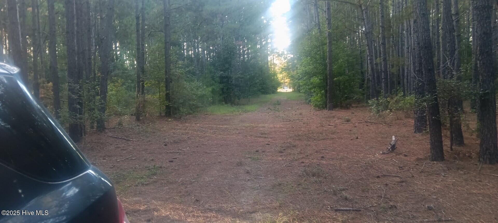 Homes for sale in Burgaw, NC | 0 Hwy 53, Burgaw, NC 28425 | MLS# 100537472