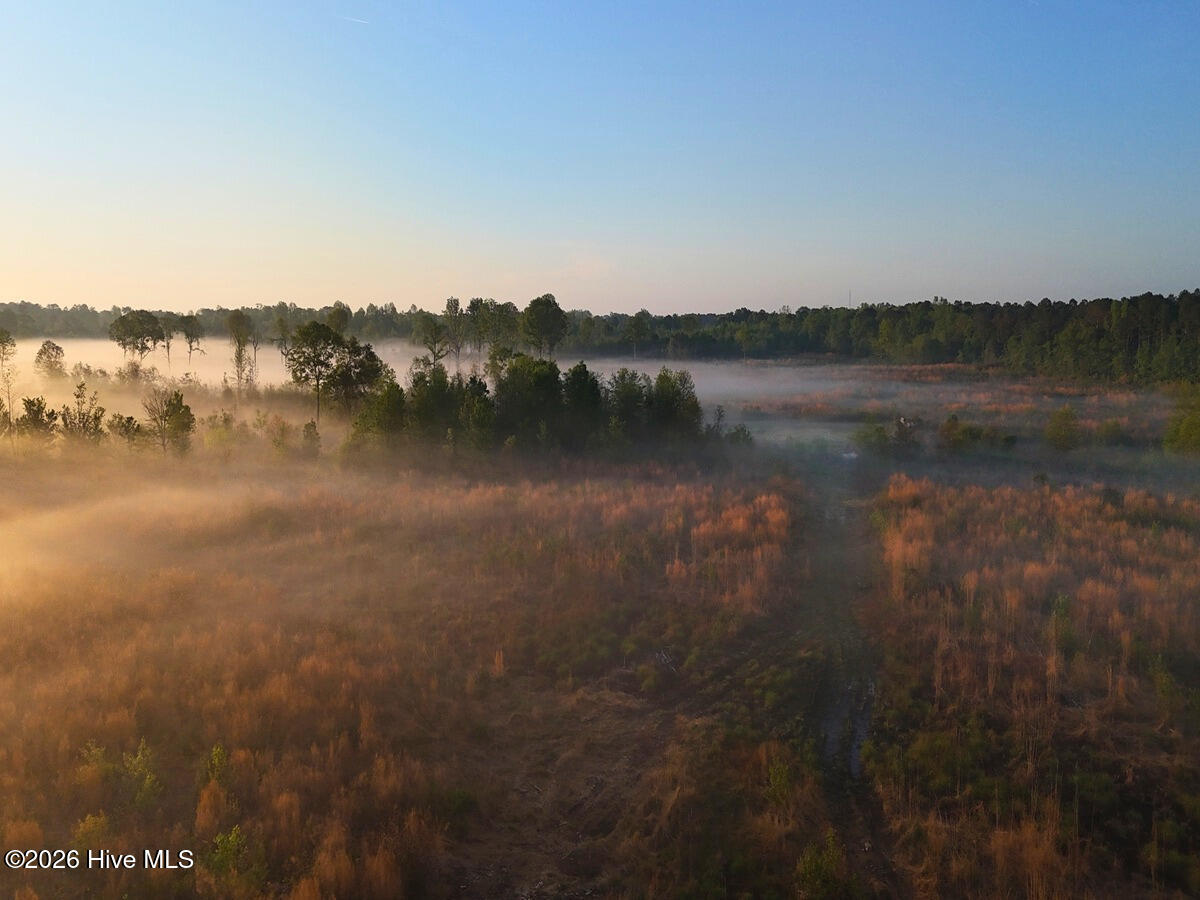 0 Durwood Evans Road, Beulaville, NC, 28518