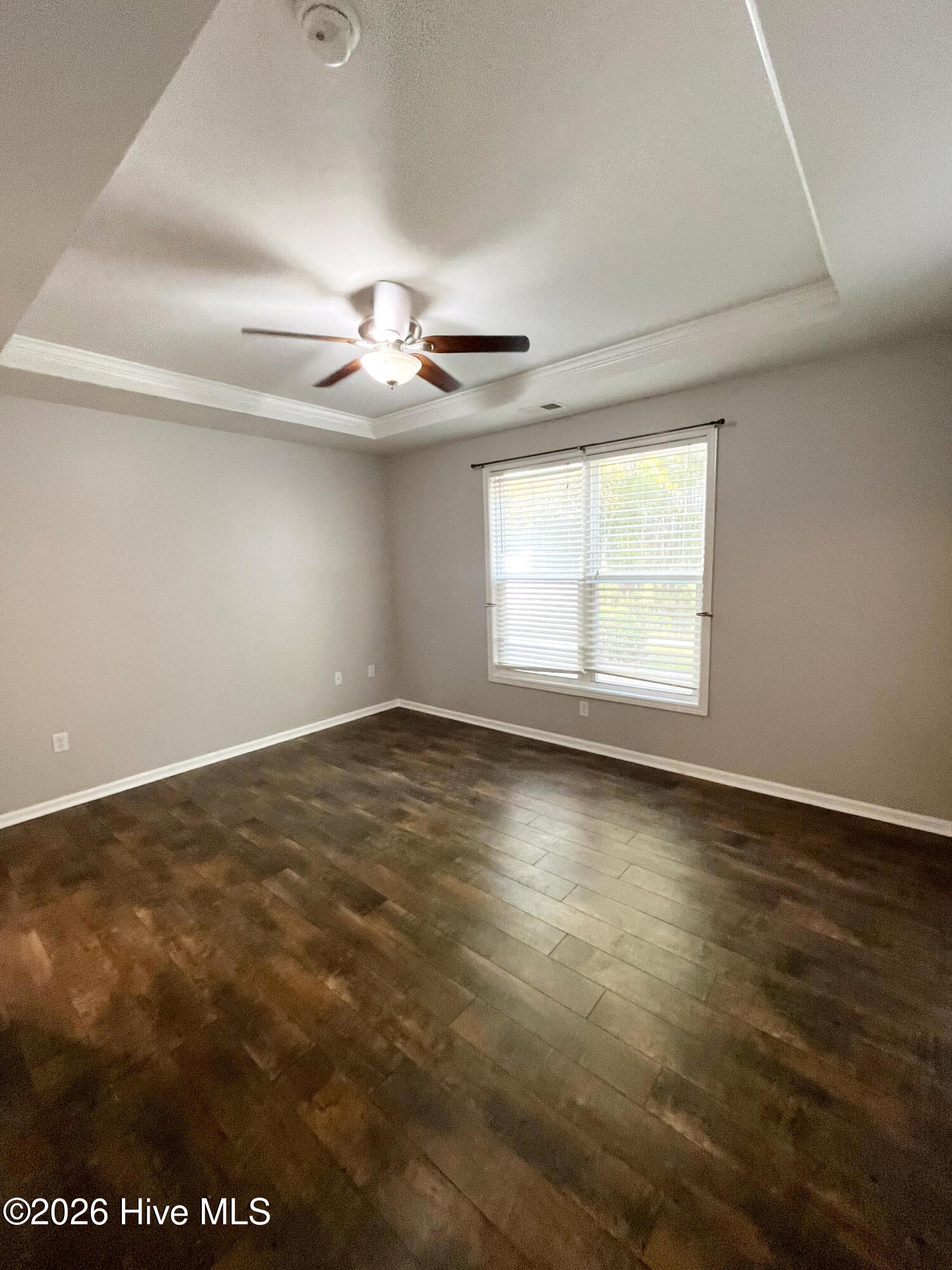 100564936 | Photo 11