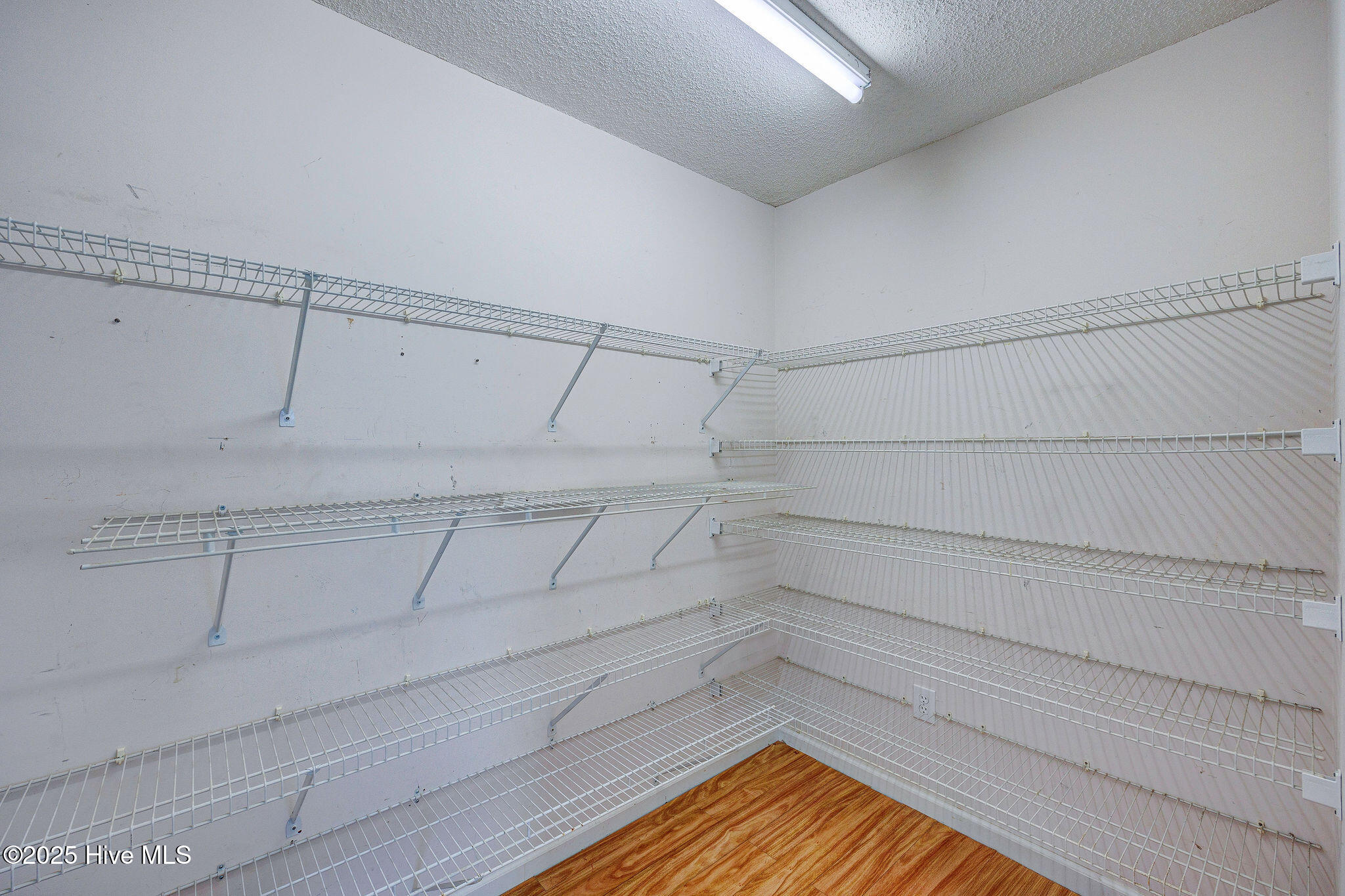 100531584 | Photo 24