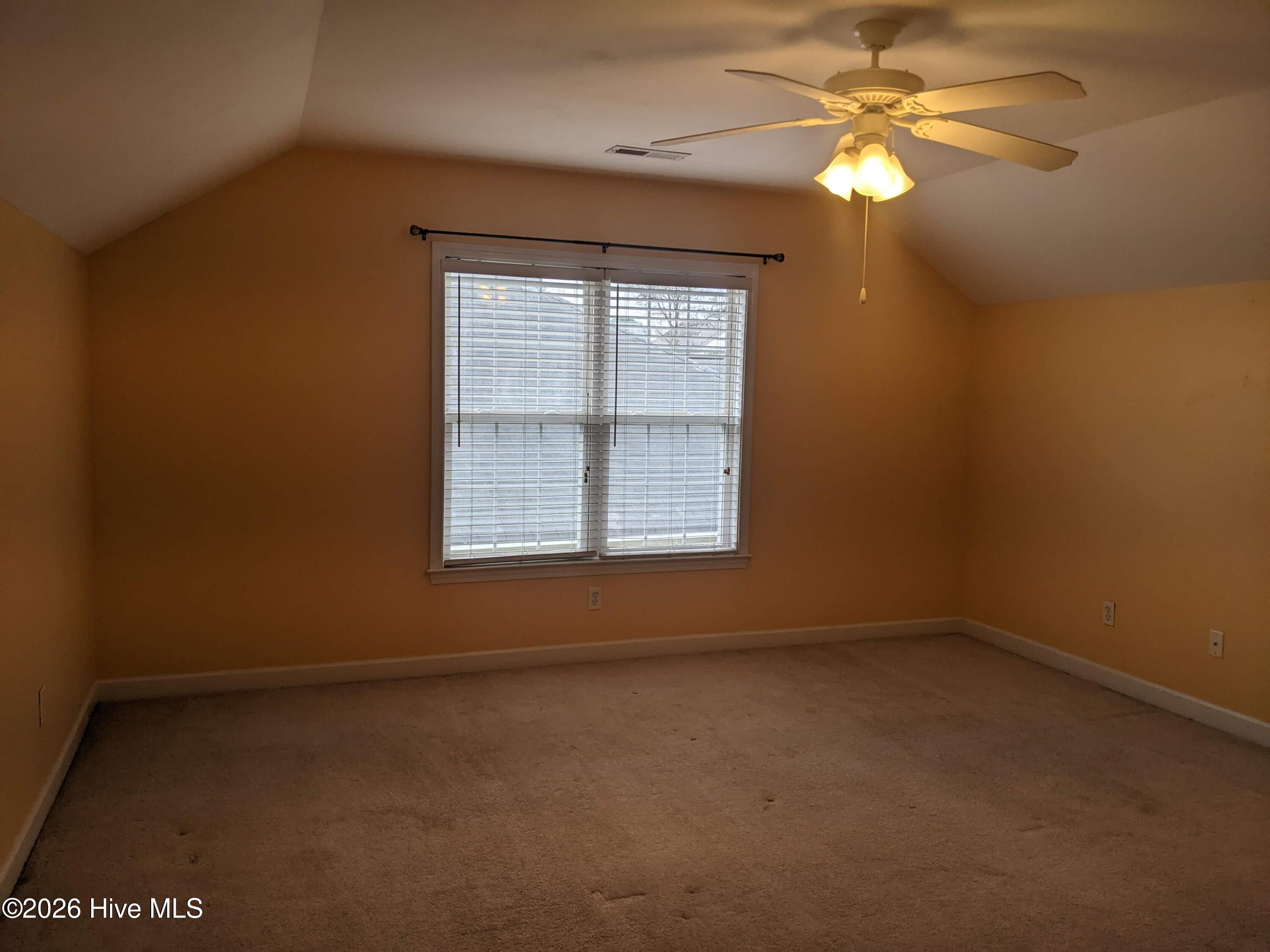 100556165 | Photo 10