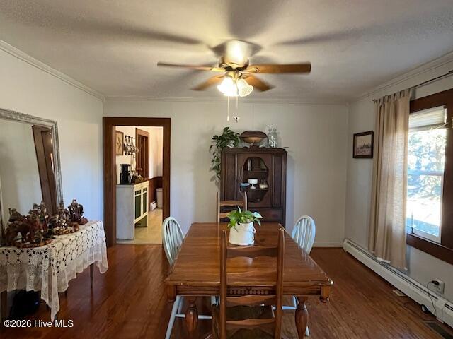 100549421 | Photo 16