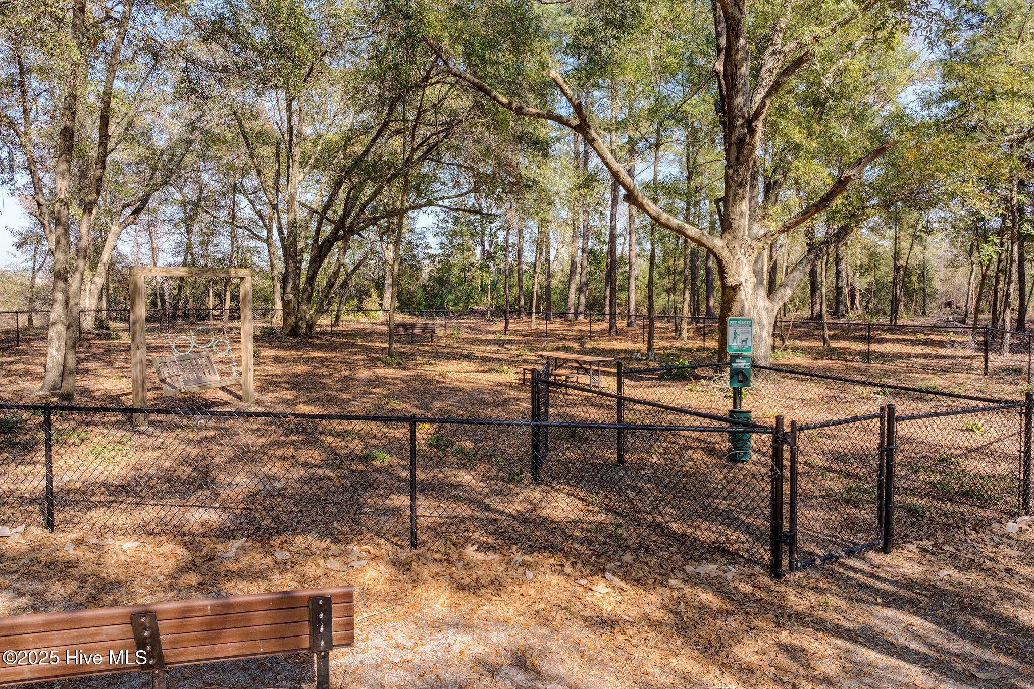 100537676 | Photo 21