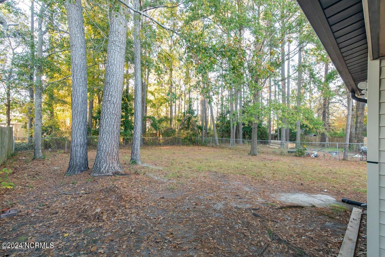 100560066 | Photo 23