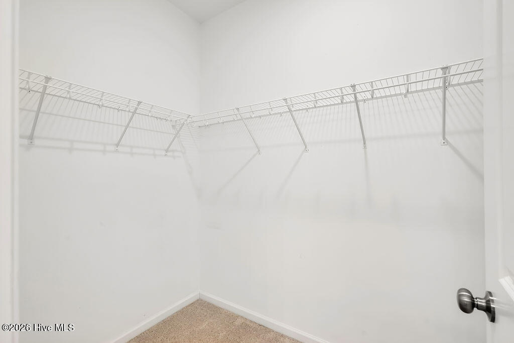 100565667 | Photo 19