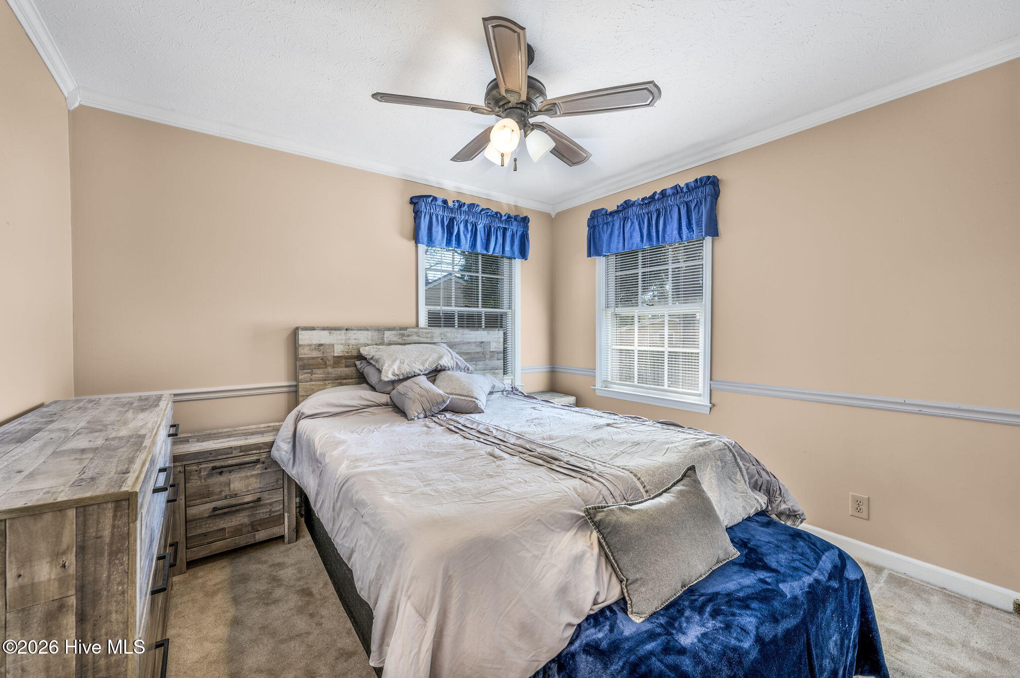 100564141 | Photo 20