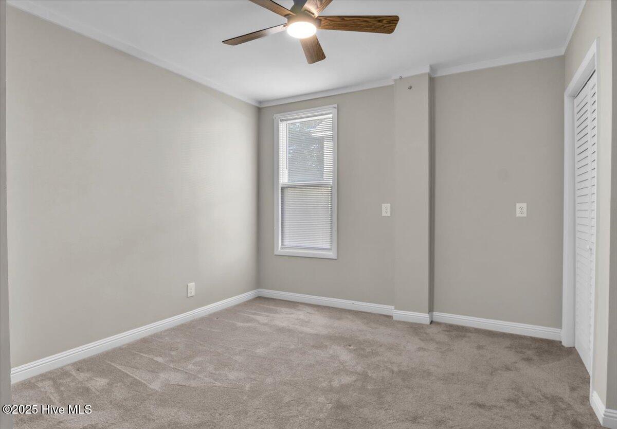 100539108 | Photo 32