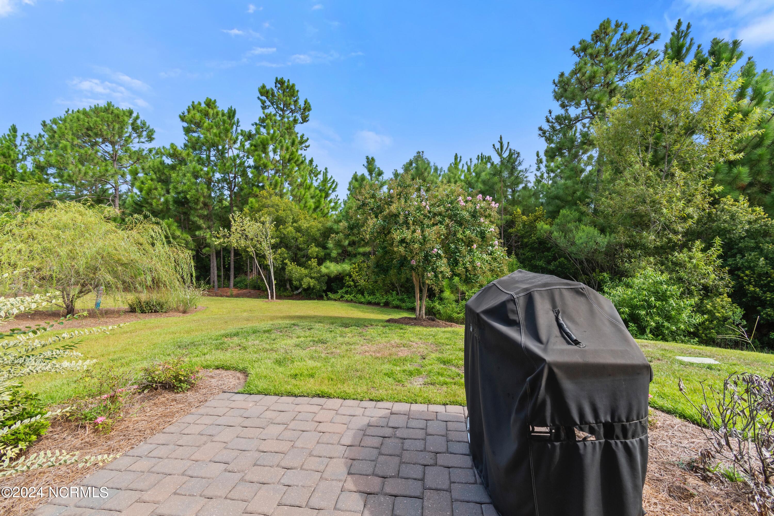 100568294 | Photo 22