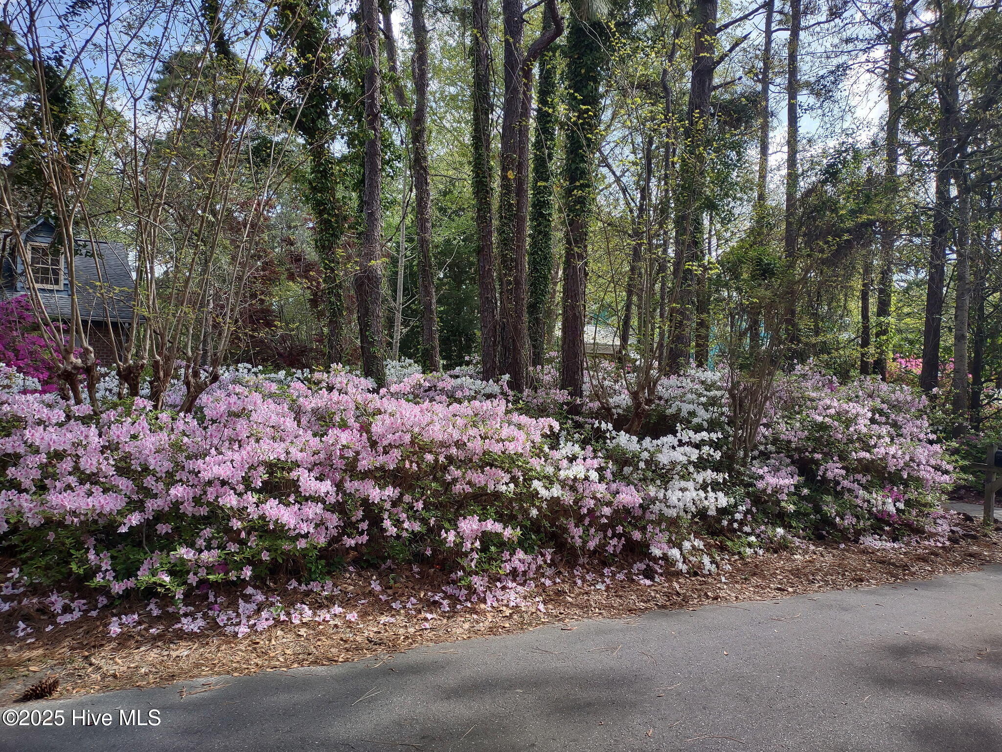 100540294 | Photo 53