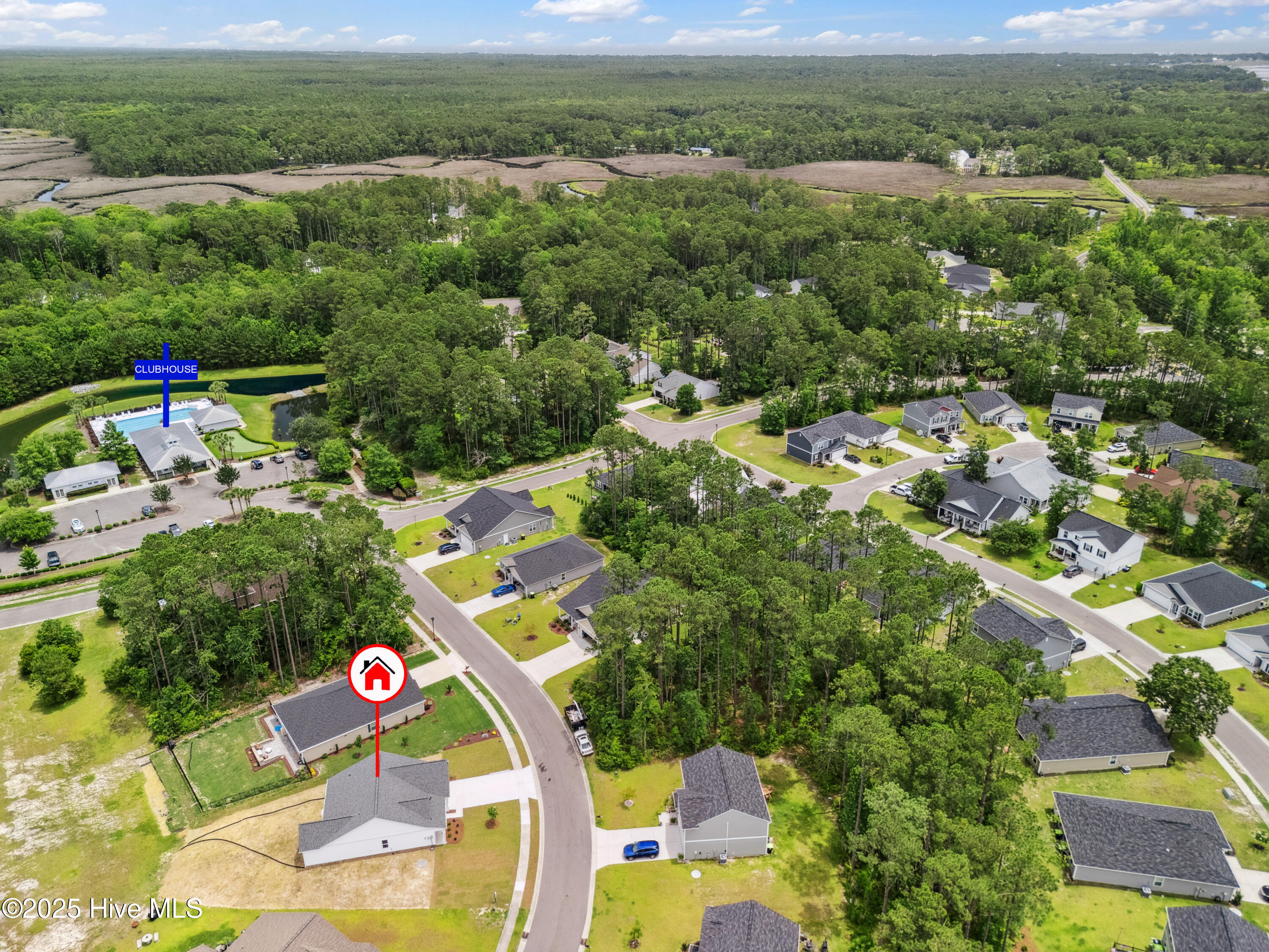 100485279 | Photo 39