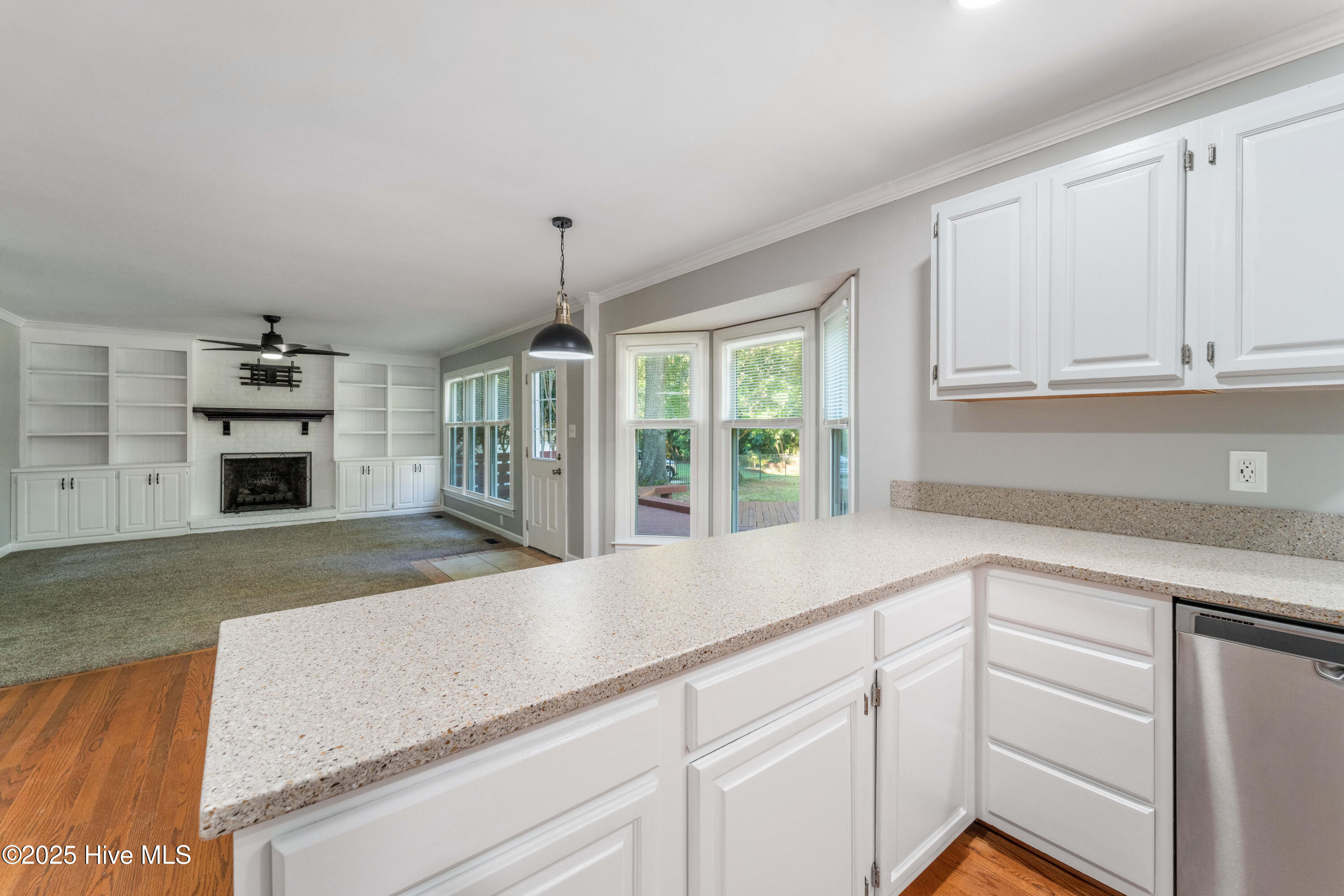 100527968 | Photo 61