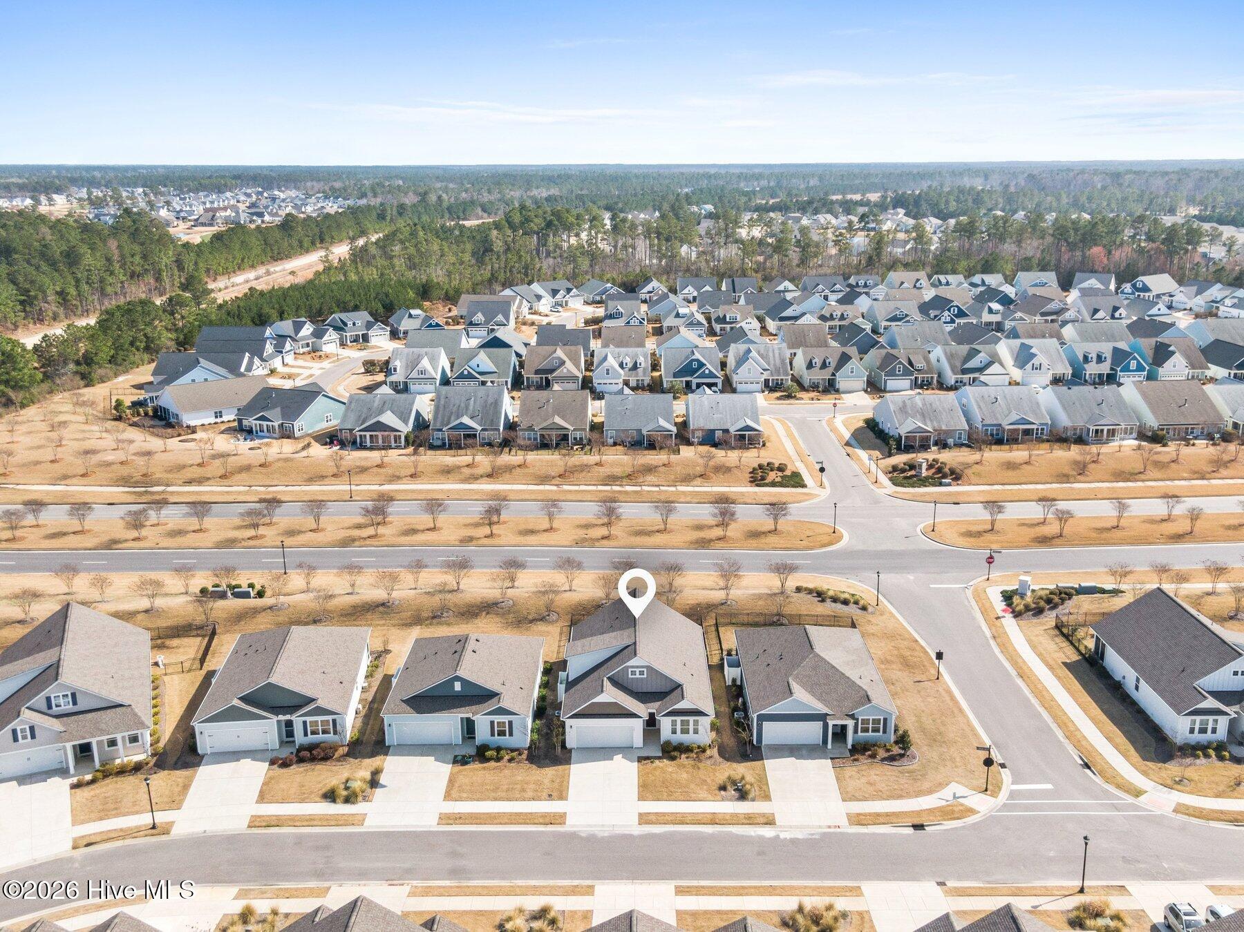 100558018 | Photo 32