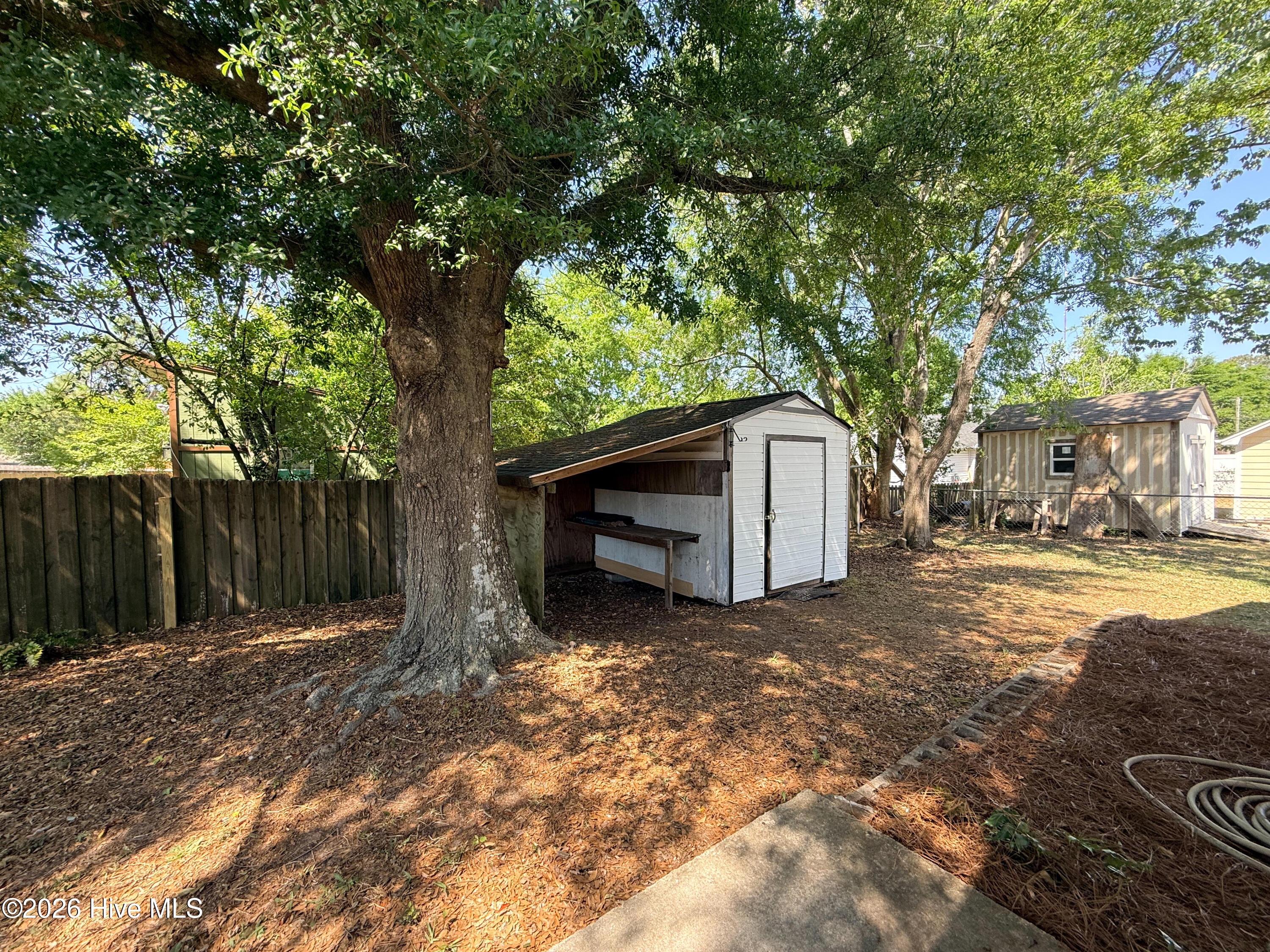 100568255 | Photo 60