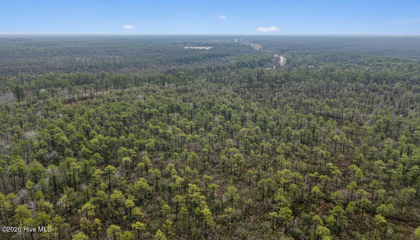 Homes for sale in Boiling Spring Lakes, NC | Lot 5 24 Unassigned Address, Boiling Spring Lakes, NC 28461 | MLS# 100552975