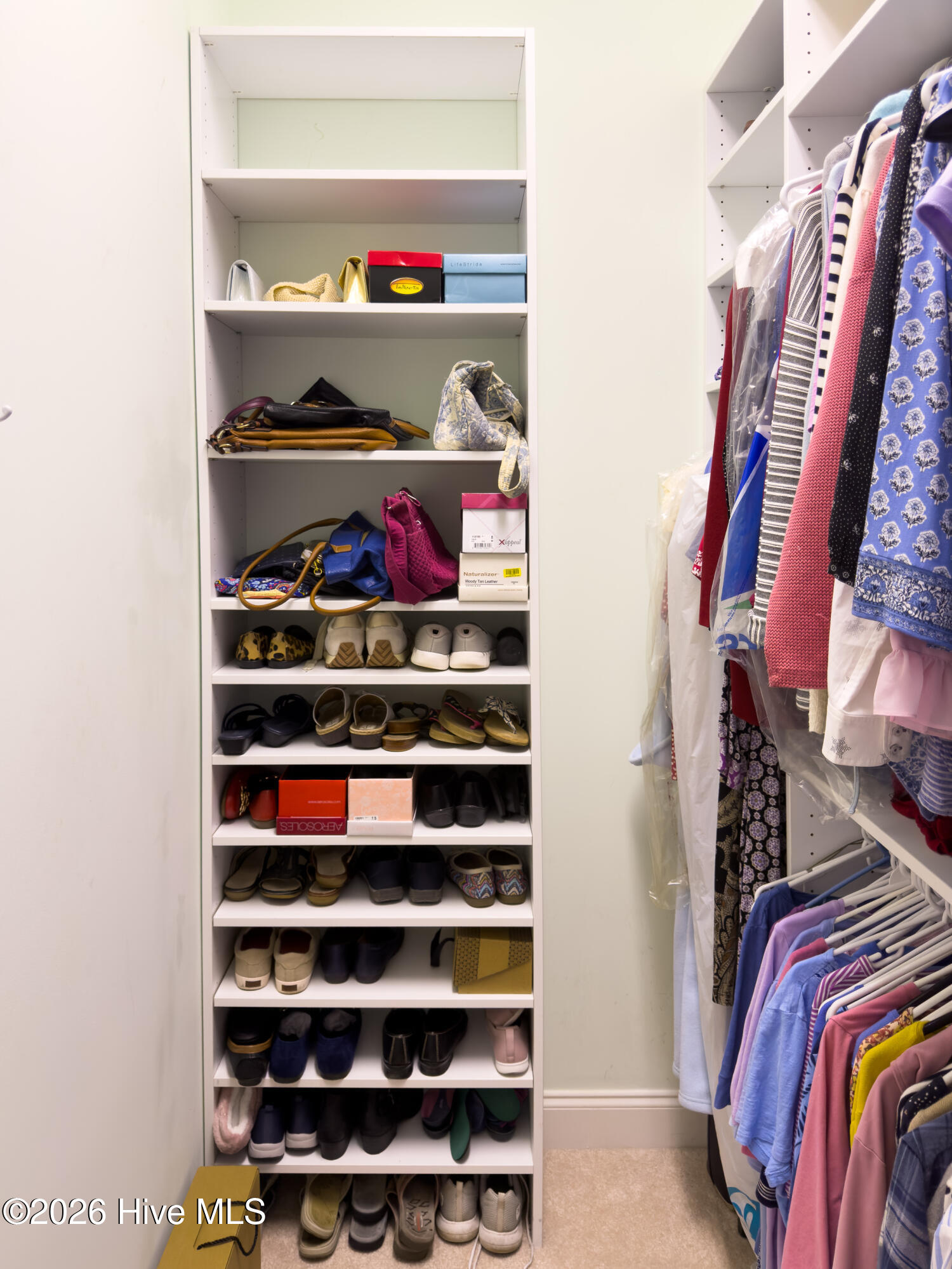 100568595 | Photo 30