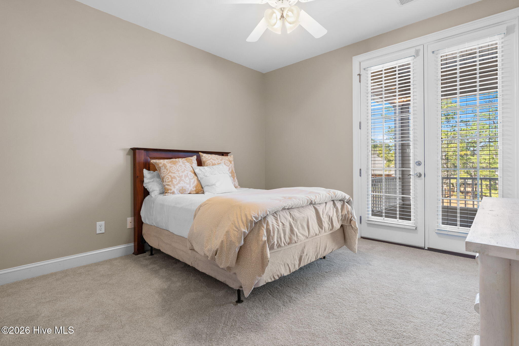 100559683 | Photo 31