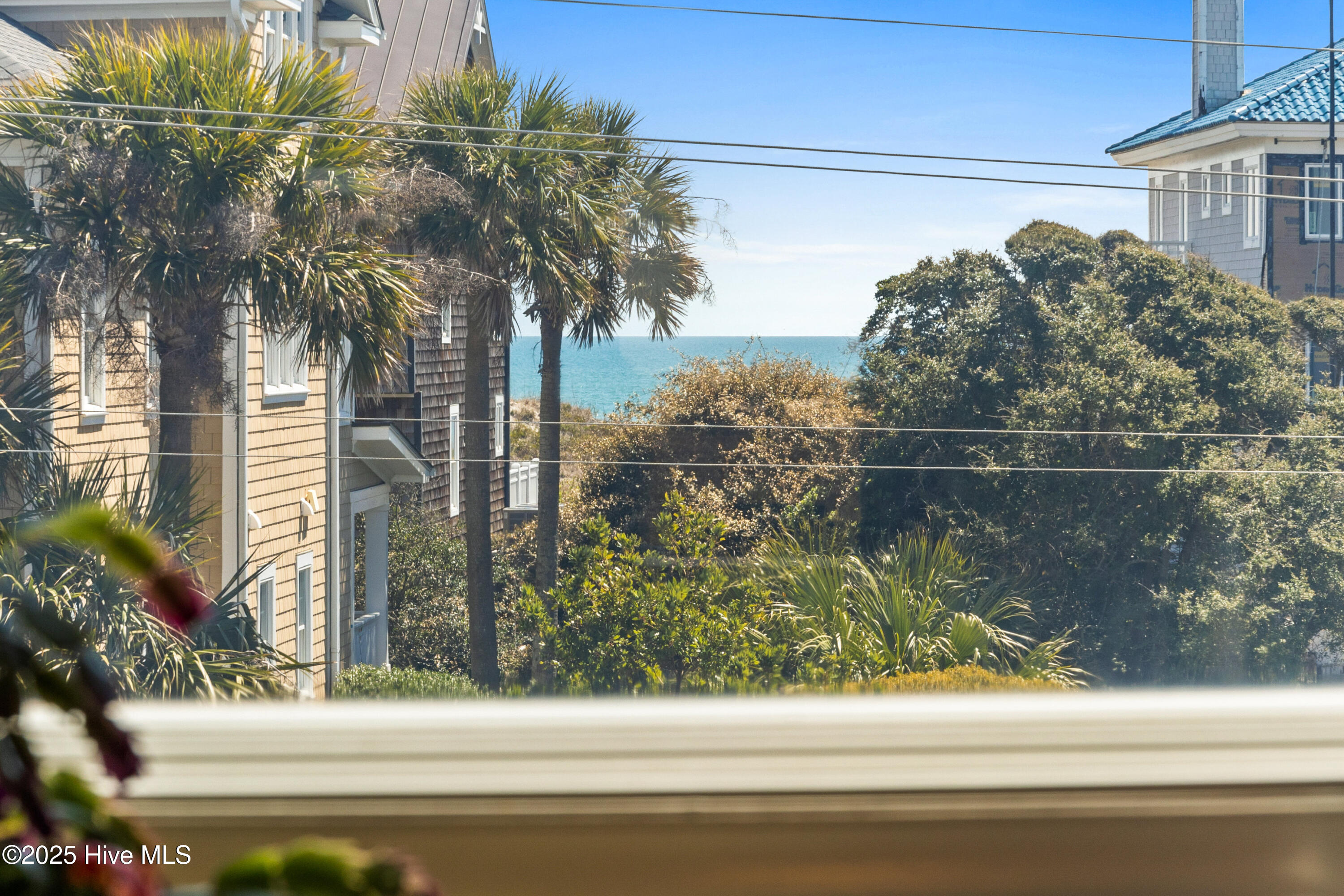 100497696 | Photo 15