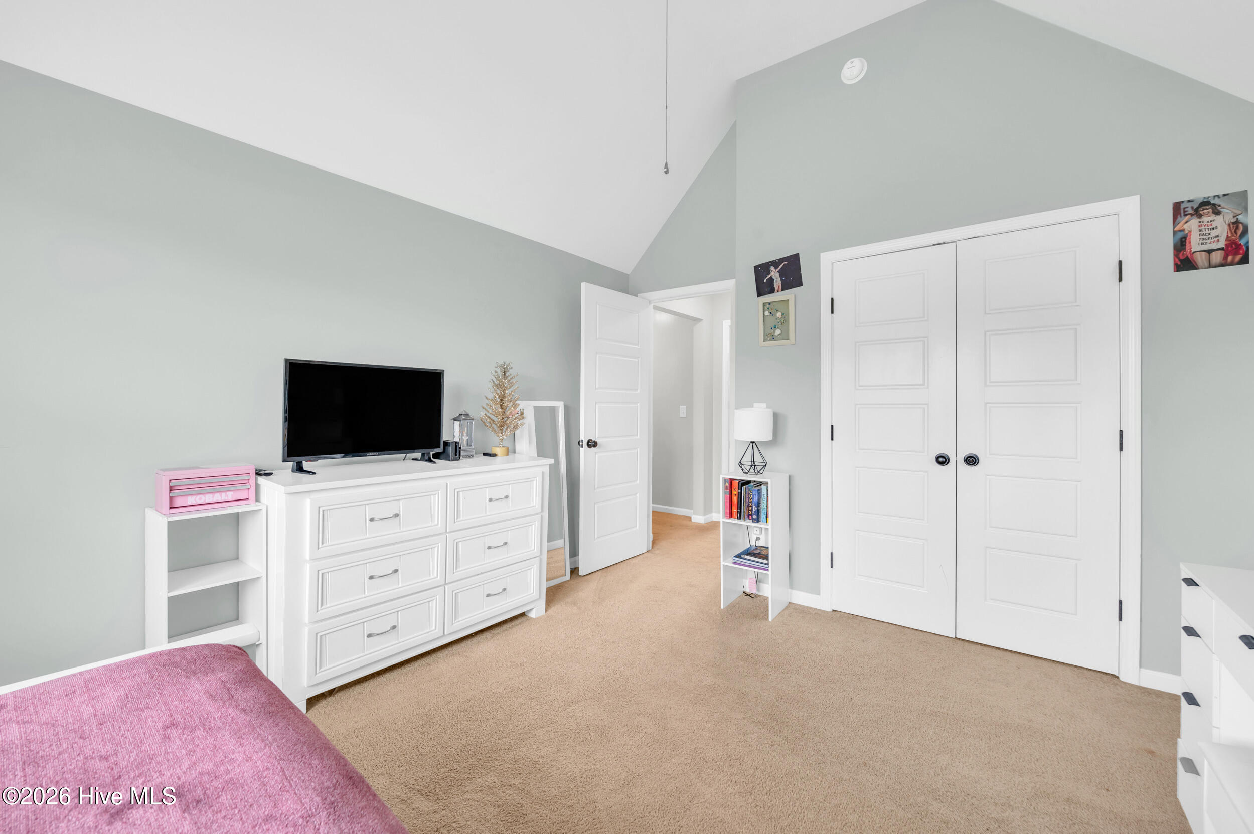 100550798 | Photo 35