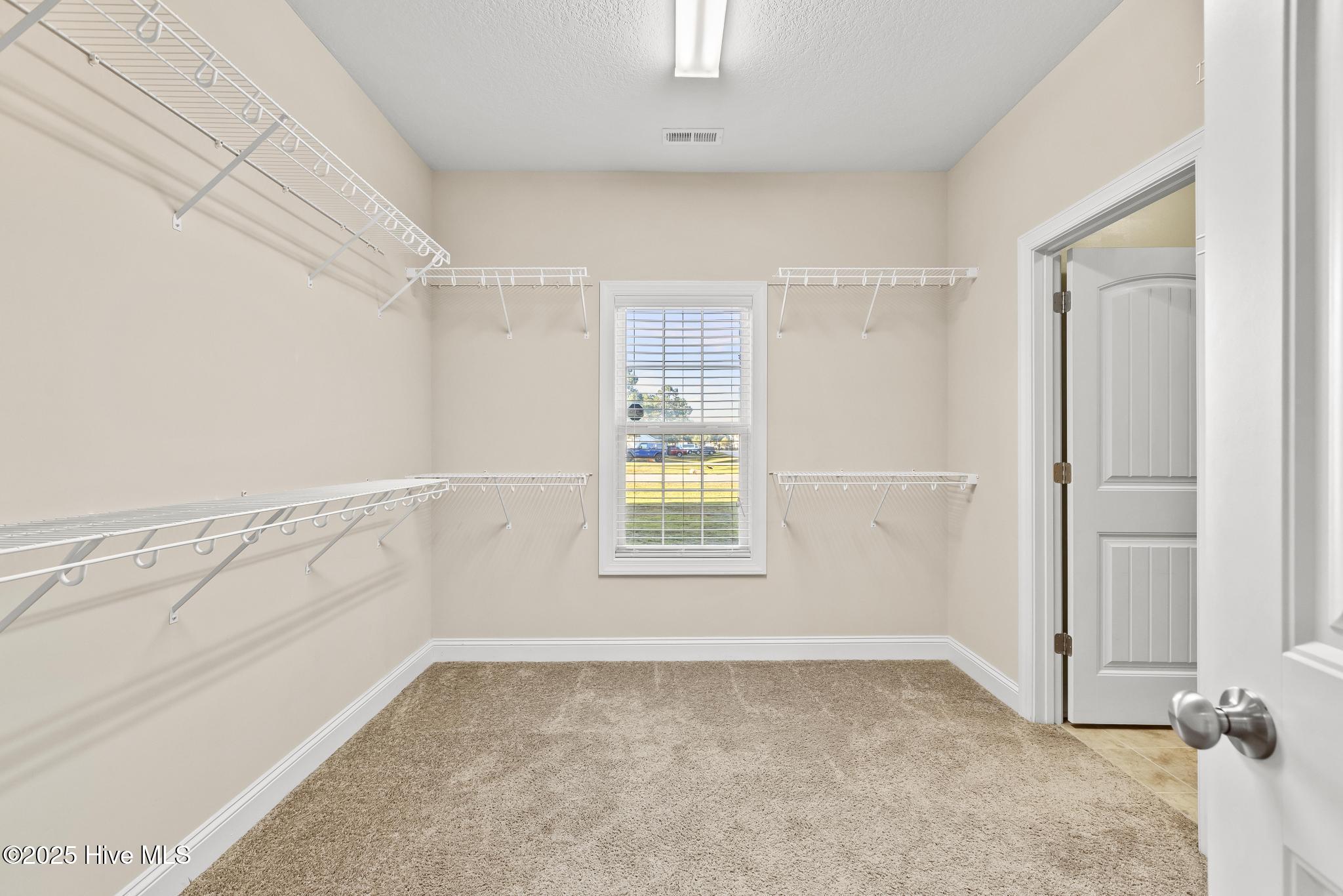 100536910 | Photo 25