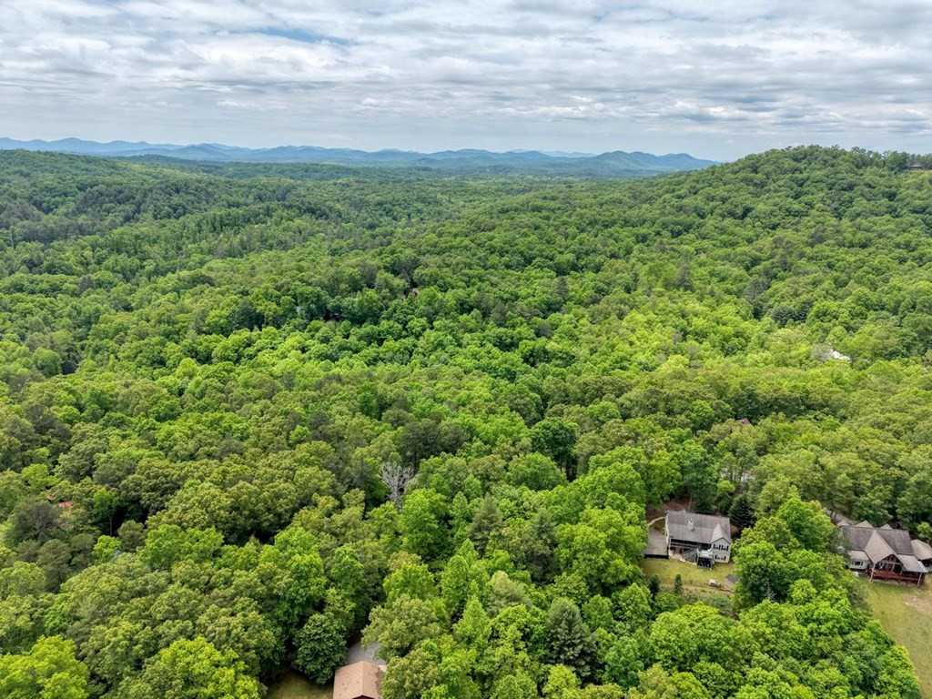 277 Clay Durrett Road, Murphy, NC 28906 Listing Photo  76