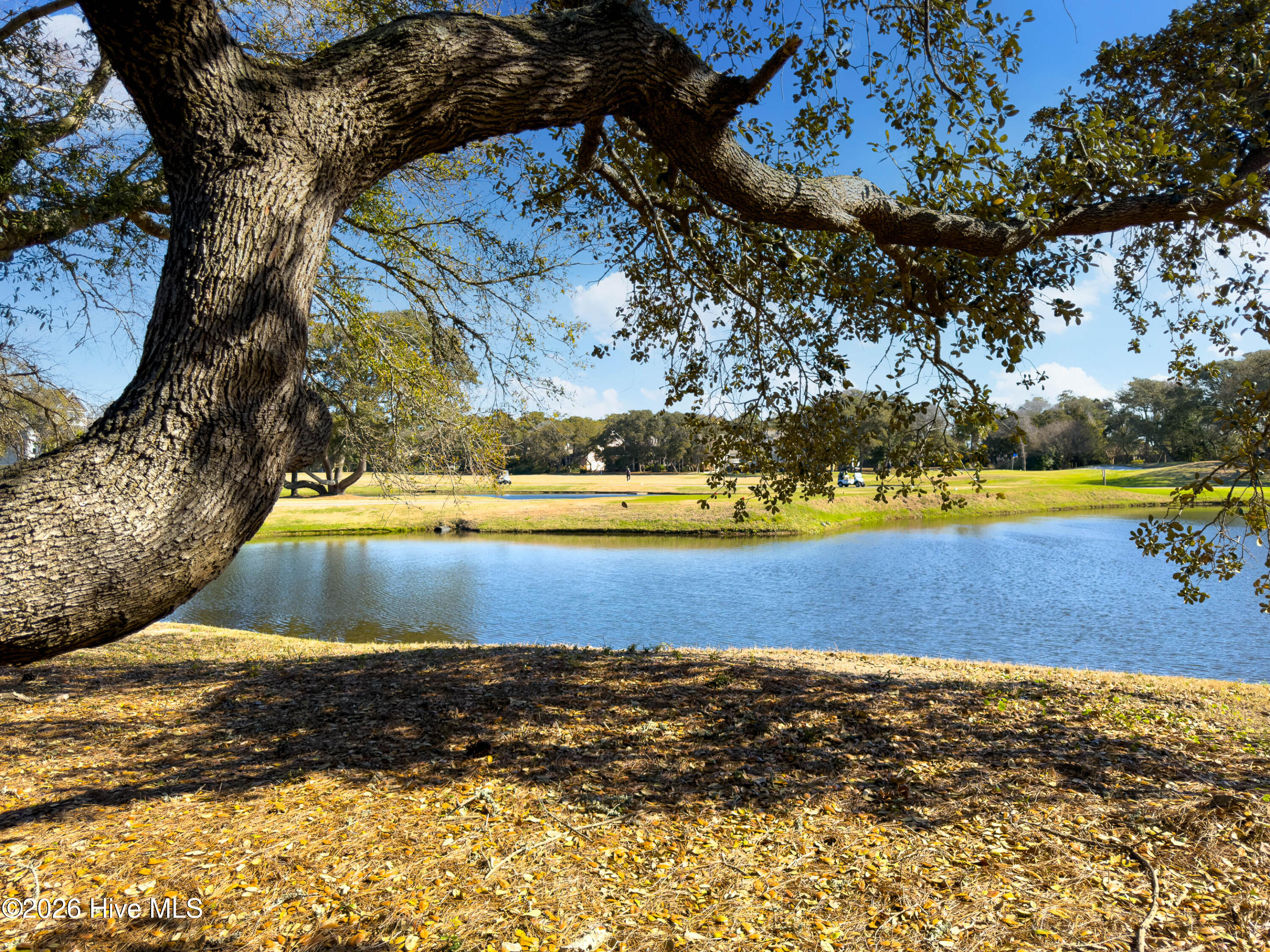 100561643 | Photo 55