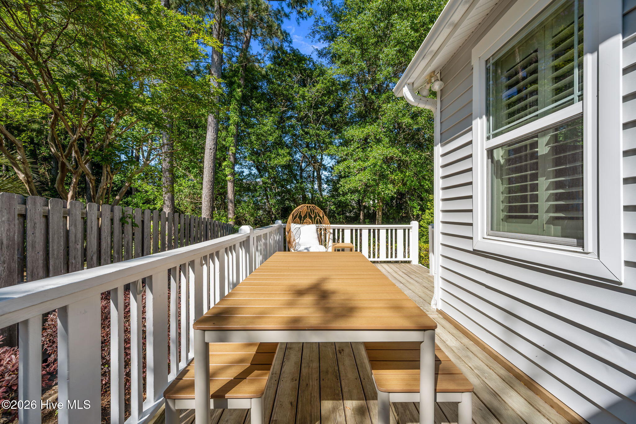 100569497 | Photo 24