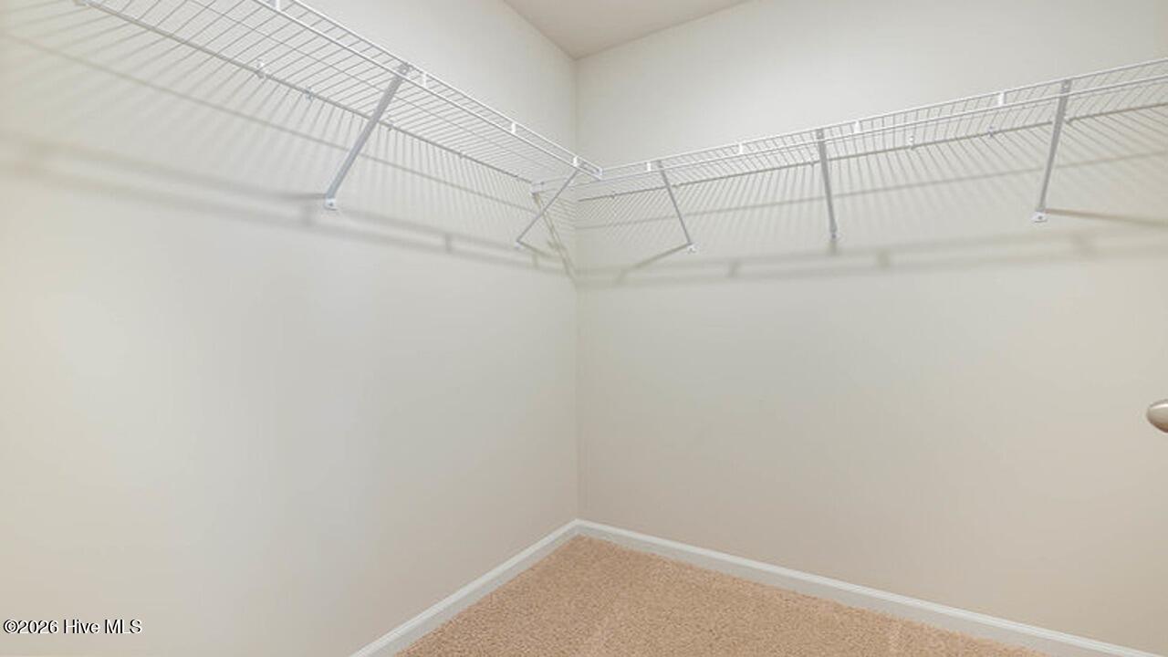 100559720 | Photo 20