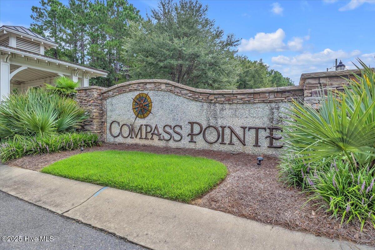 100527091 | Photo 61