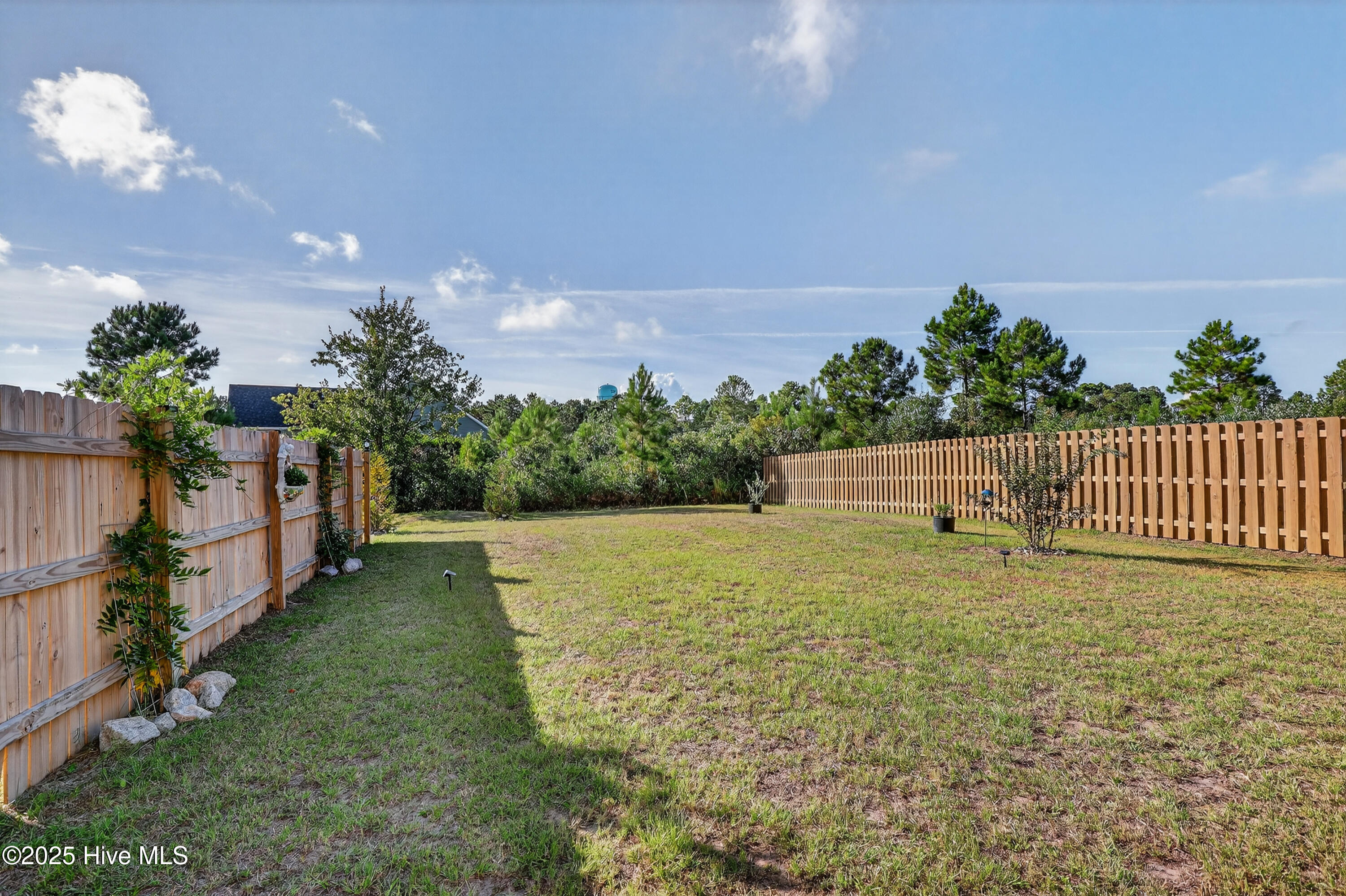 100533357 | Photo 29