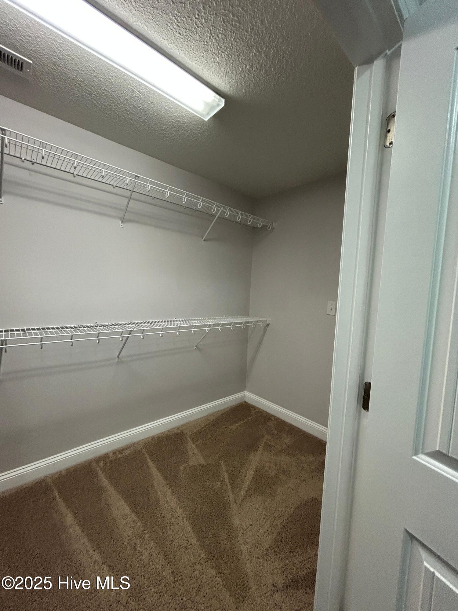 100528484 | Photo 24