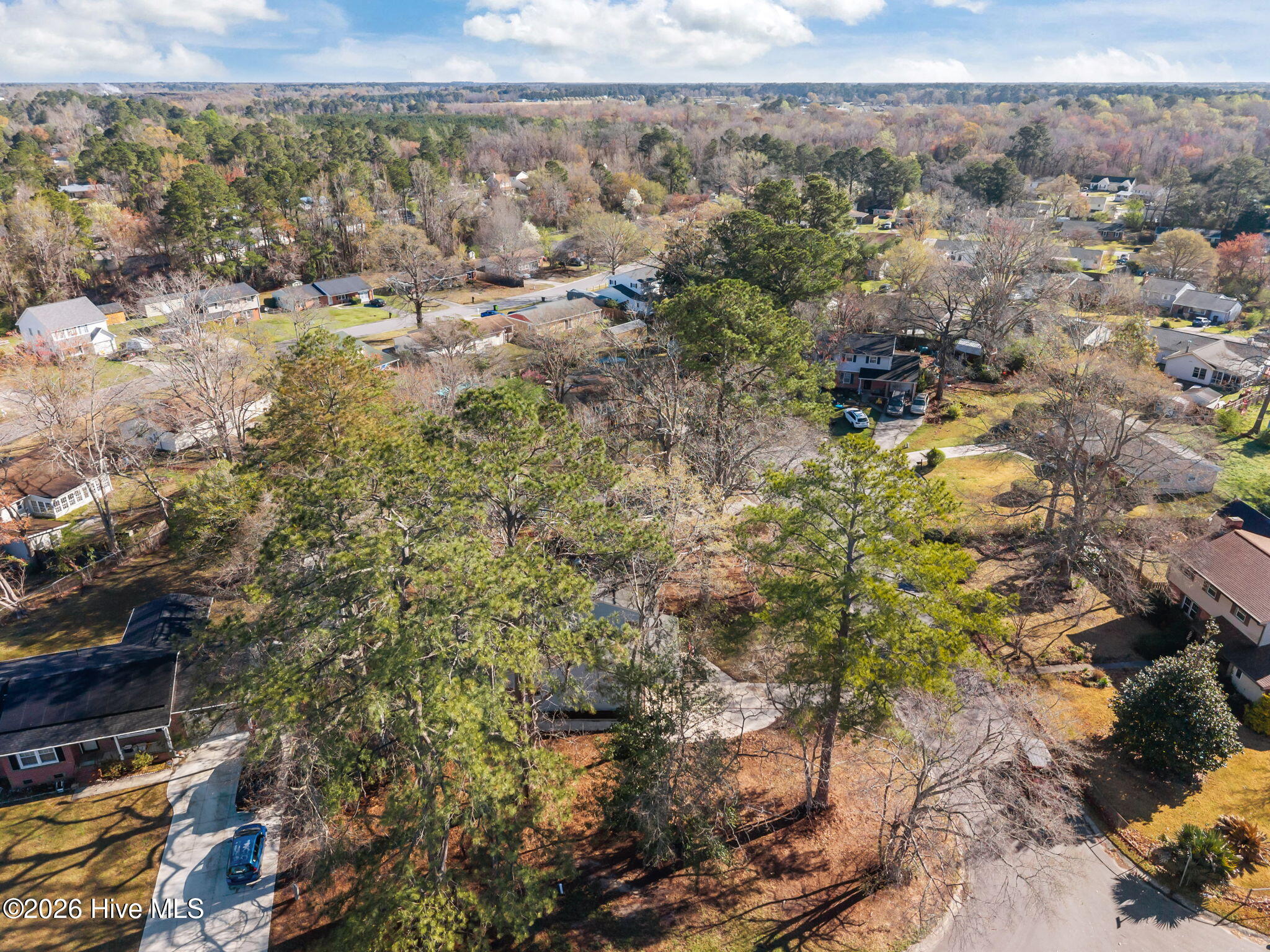 100560712 | Photo 48