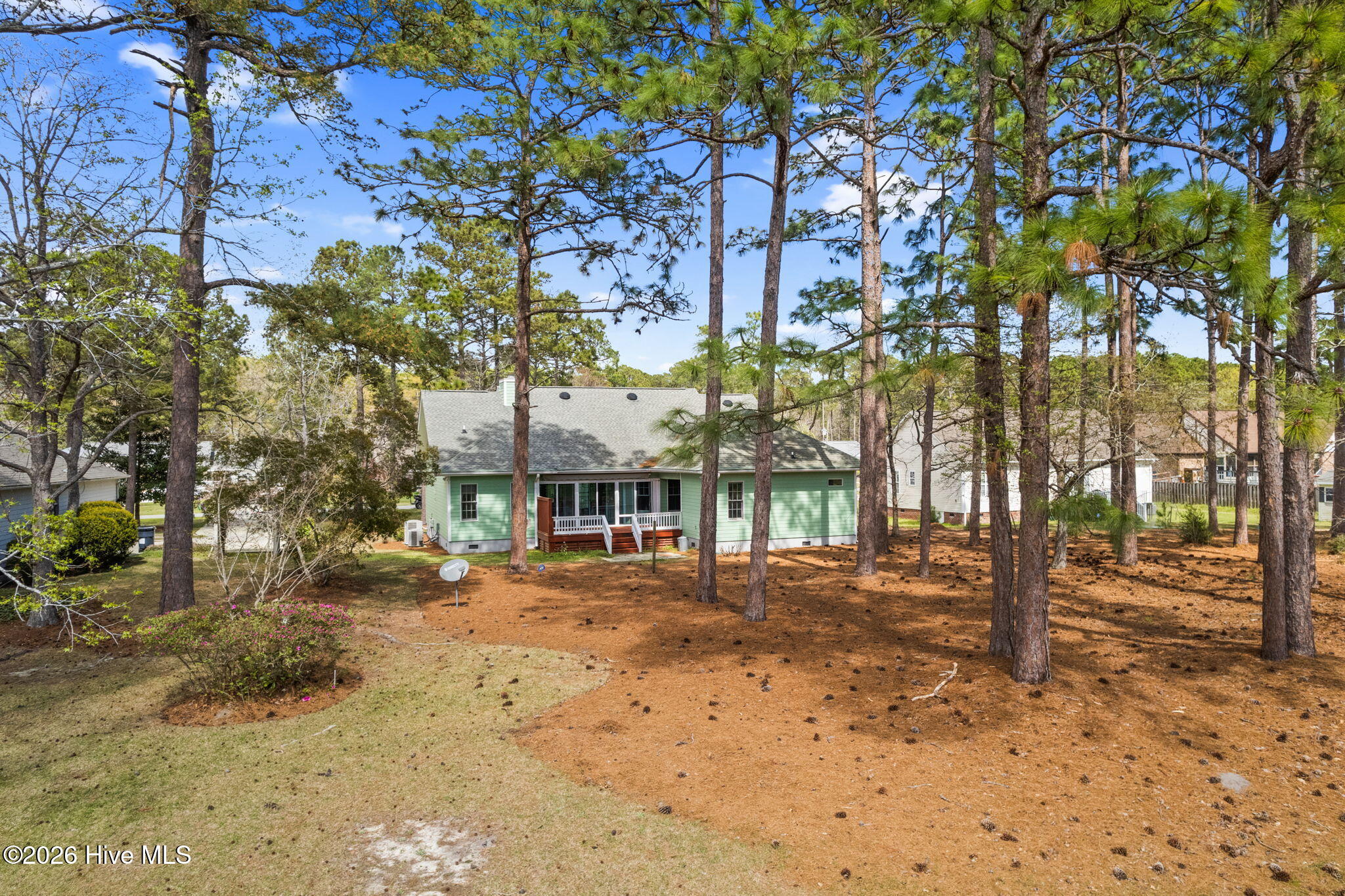 100559475 | Photo 48