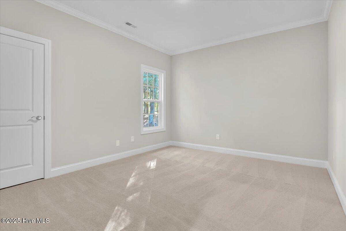 100505838 | Photo 50