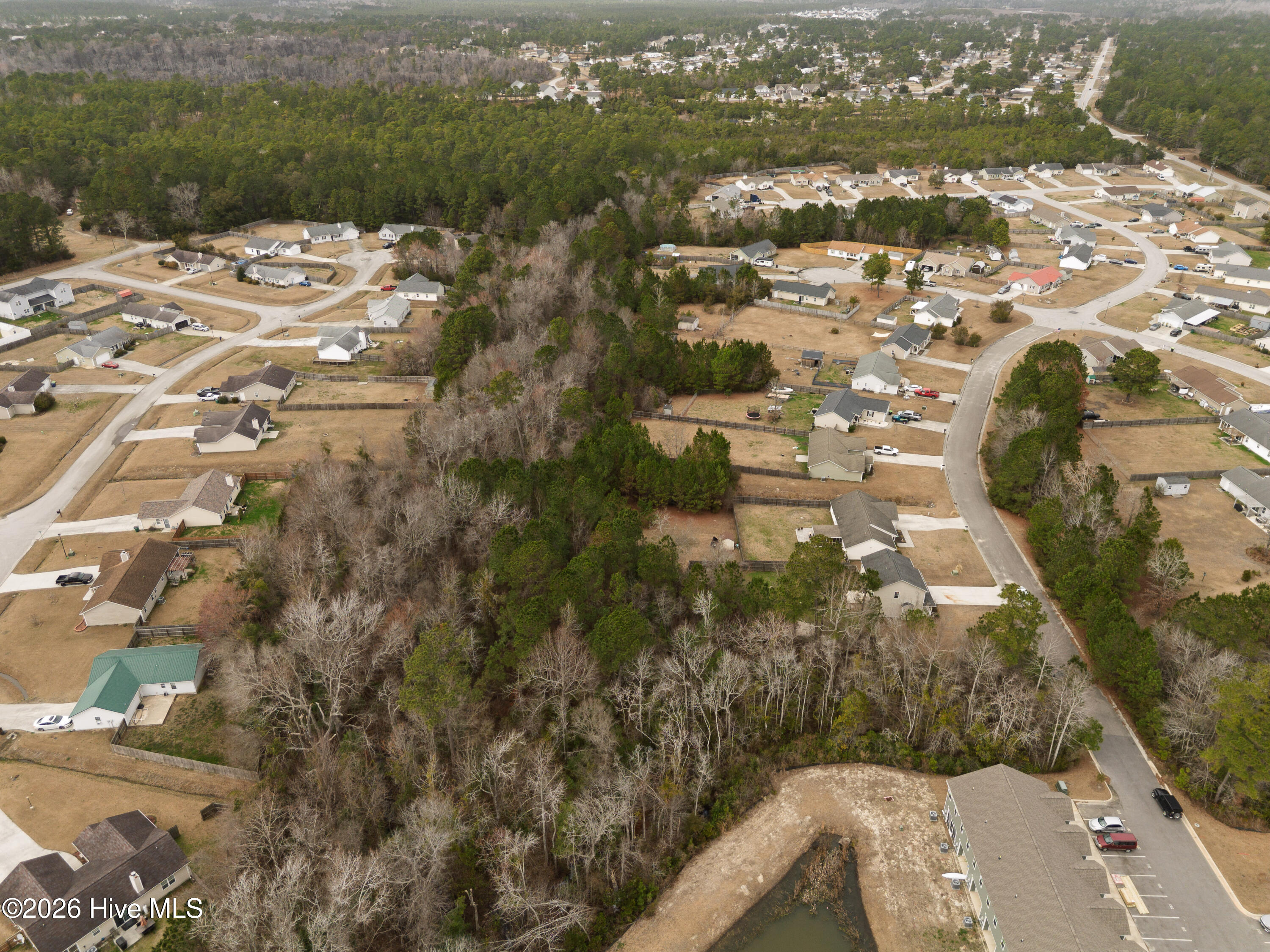 100557262 | Photo 68