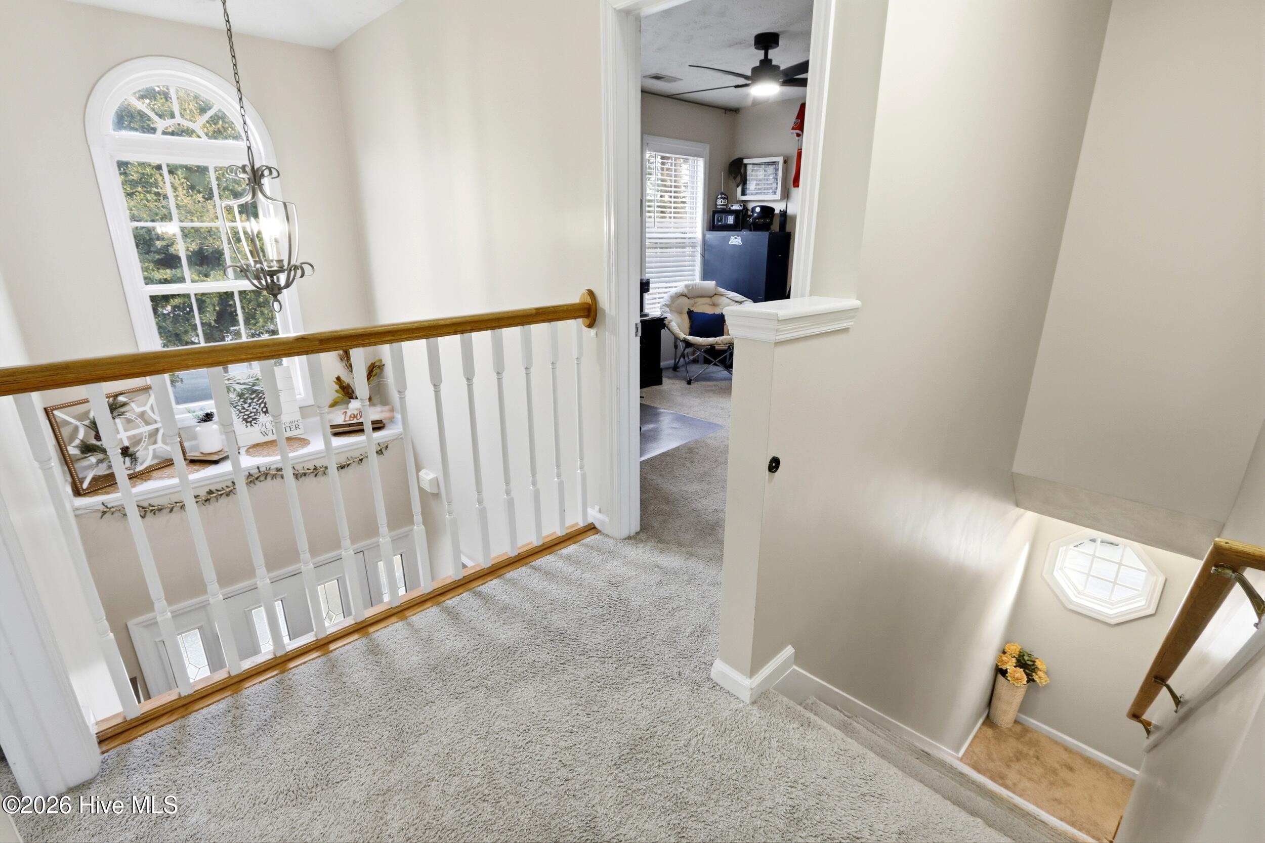 100551374 | Photo 34