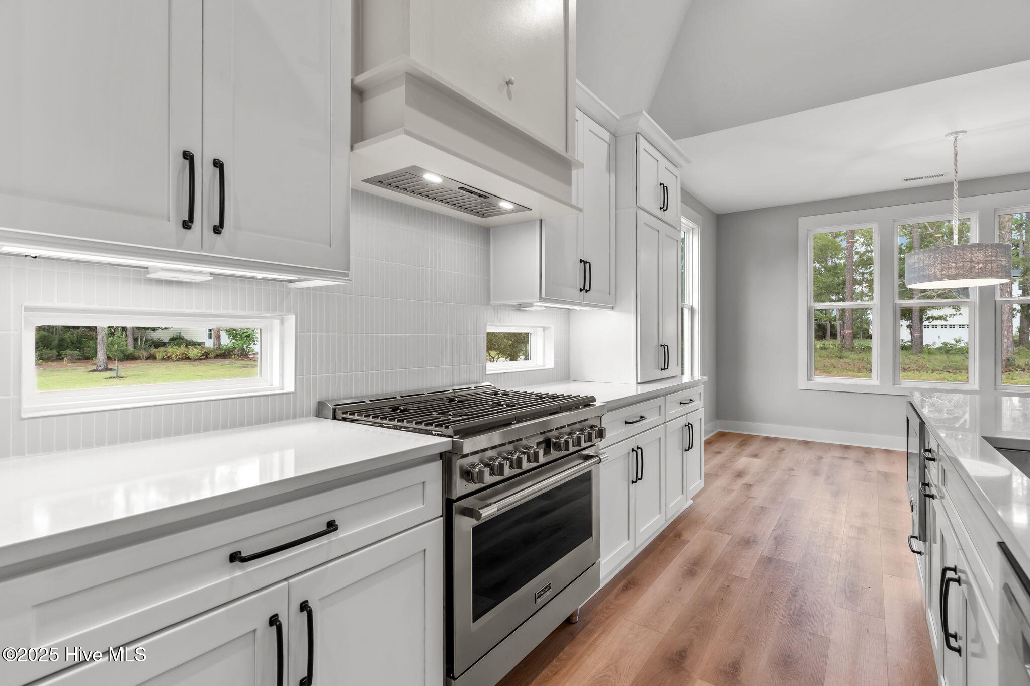 100525046 | Photo 20