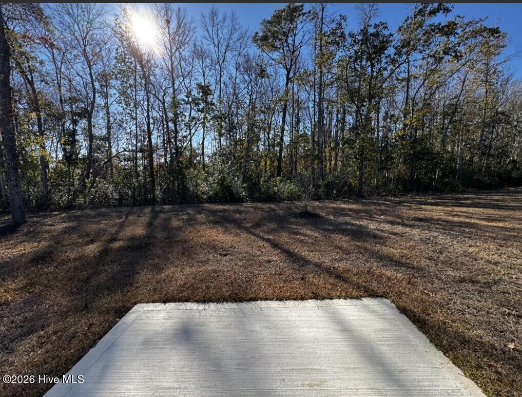 100548886 | Photo 17